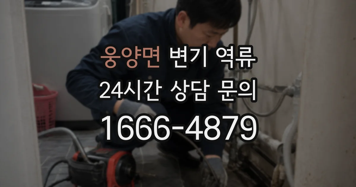 웅양면 변기 역류