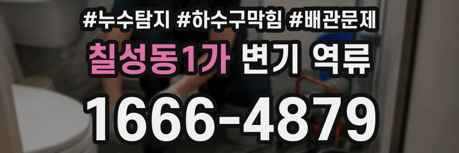 칠성동1가 변기 역류