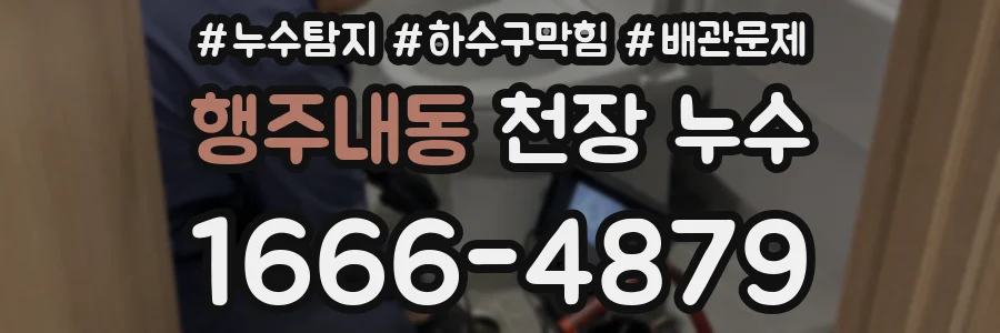 행주내동 천장 누수