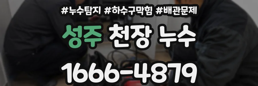 성주 천장 누수