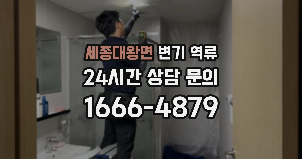 세종대왕면 변기 역류