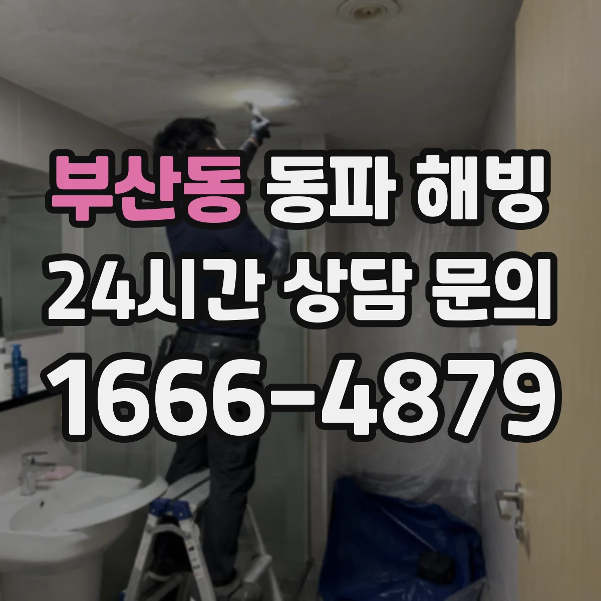 부산동 동파 해빙