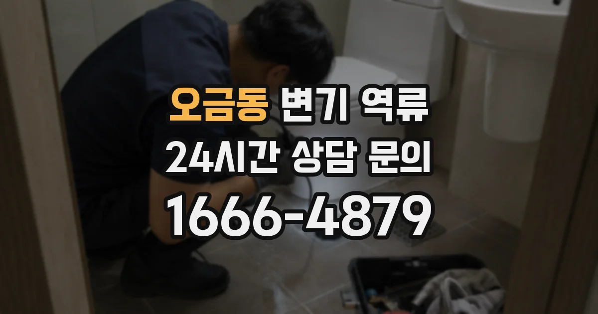오금동 변기 역류