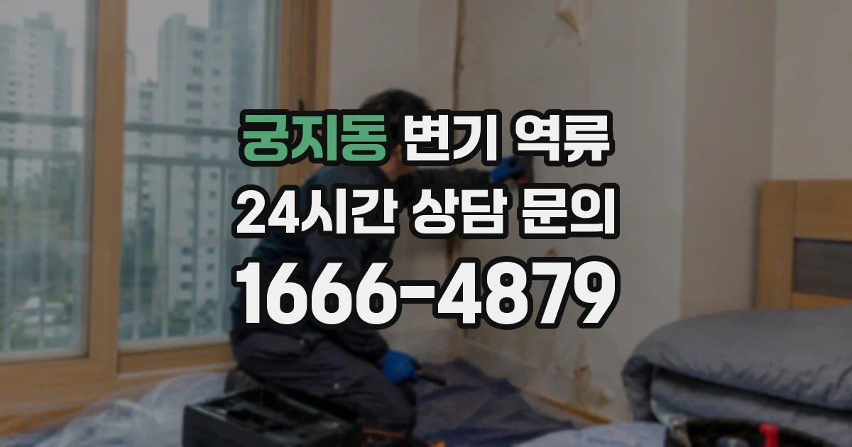 궁지동 변기 역류