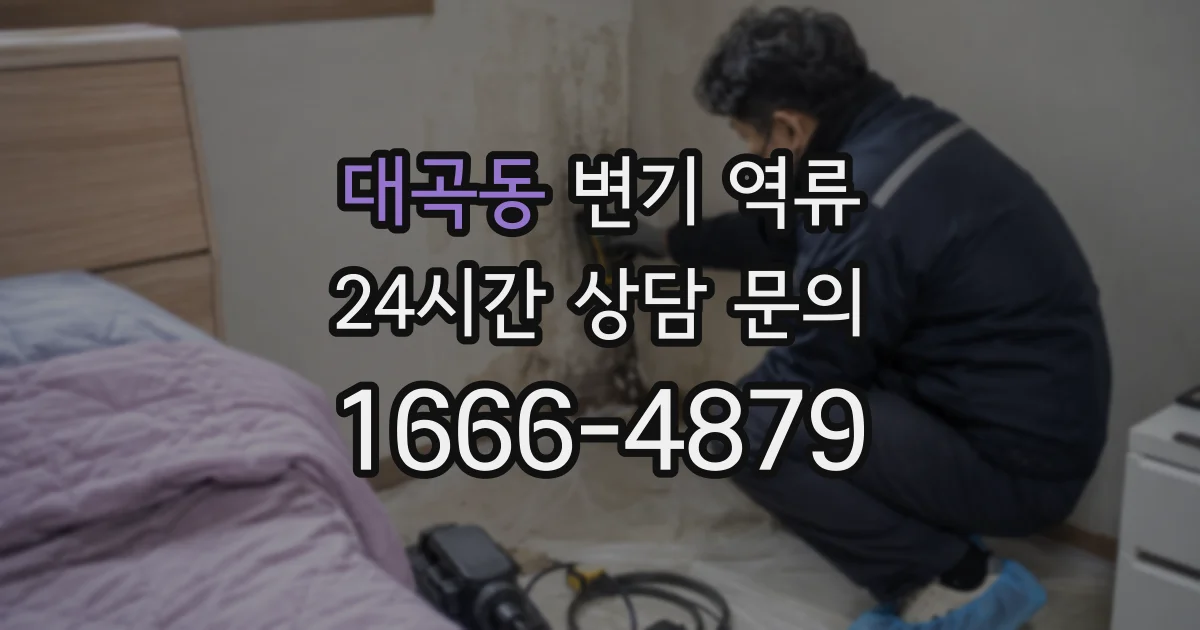 대곡동 변기 역류