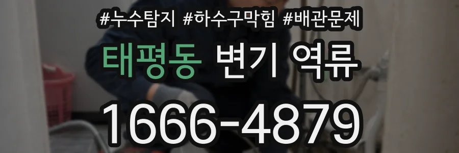 태평동 변기 역류