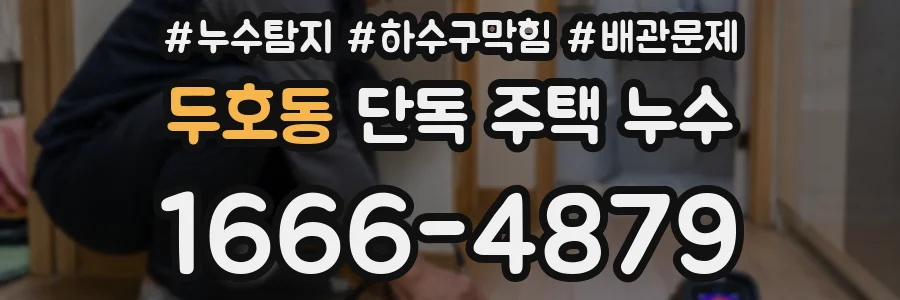 두호동 단독 주택 누수