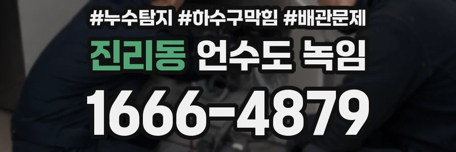 진리동 언수도 녹임