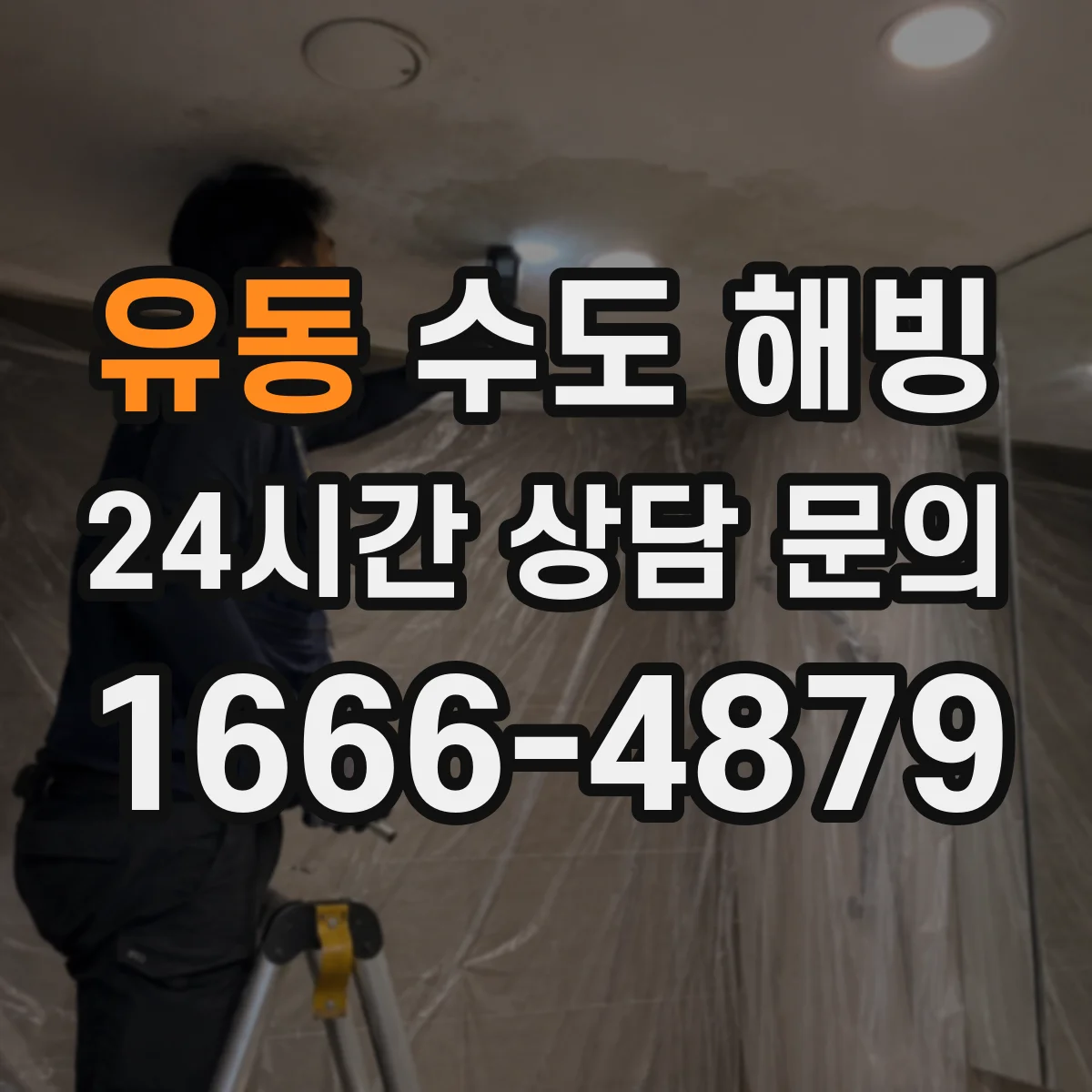 유동 수도 해빙