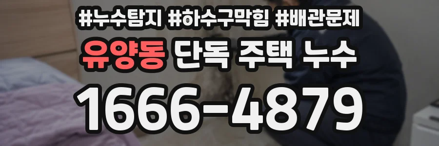 유양동 단독 주택 누수