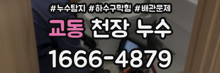 교동 천장 누수
