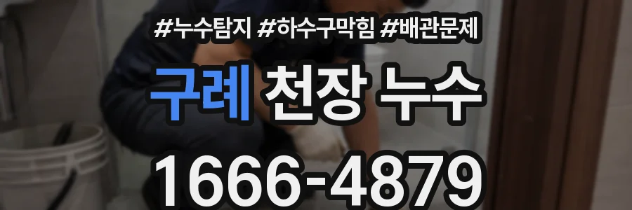 구례 천장 누수