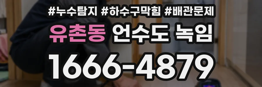 유촌동 언수도 녹임