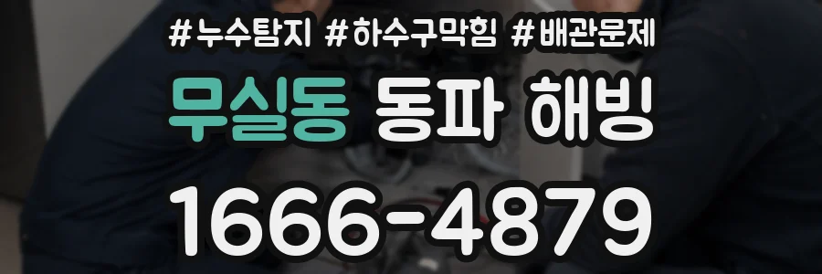 무실동 동파 해빙