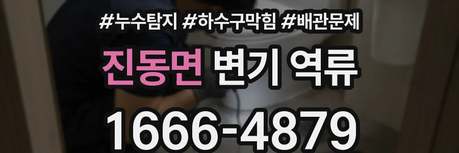진동면 변기 역류