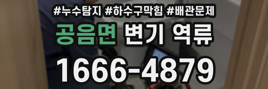 공음면 변기 역류