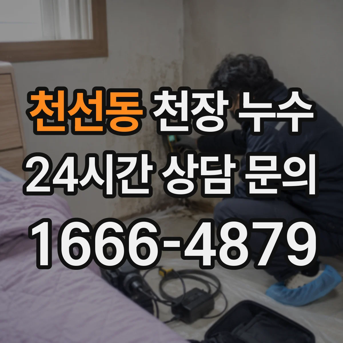 천선동 천장 누수