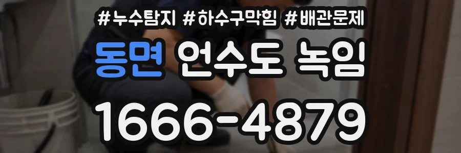 동면 언수도 녹임