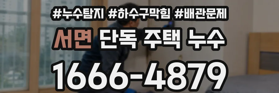 서면 단독 주택 누수