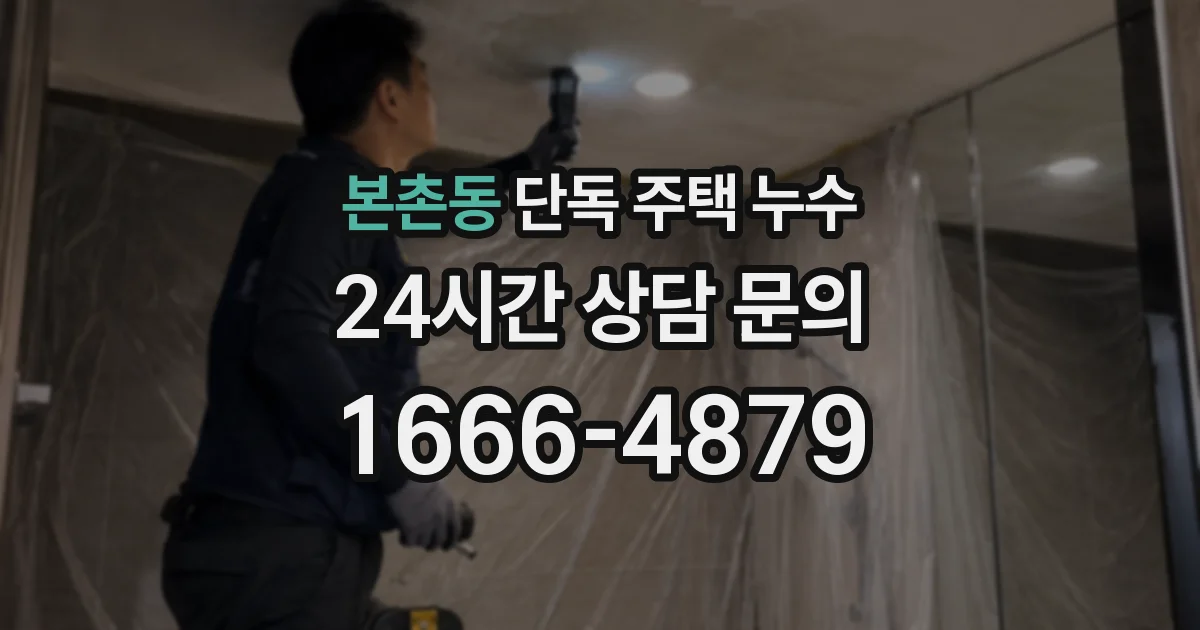 본촌동 단독 주택 누수