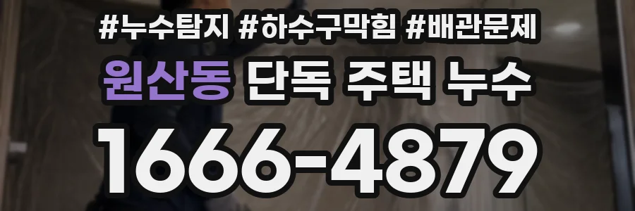 원산동 단독 주택 누수