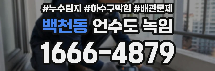백천동 언수도 녹임