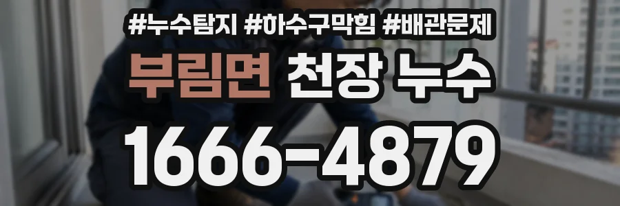 부림면 천장 누수