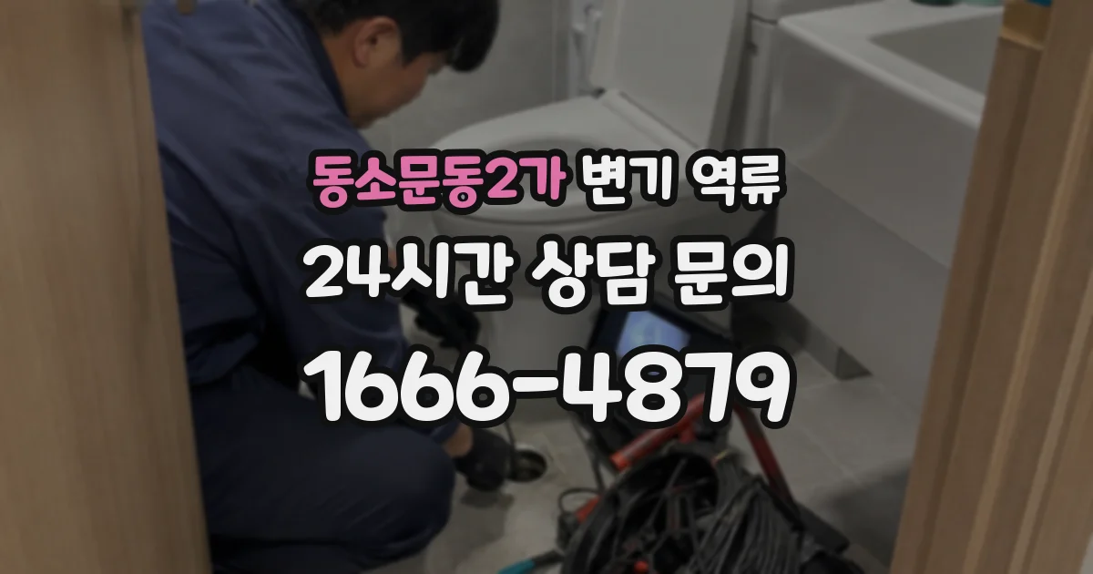 동소문동2가 변기 역류