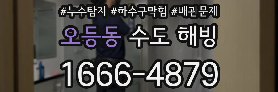 오등동 수도 해빙