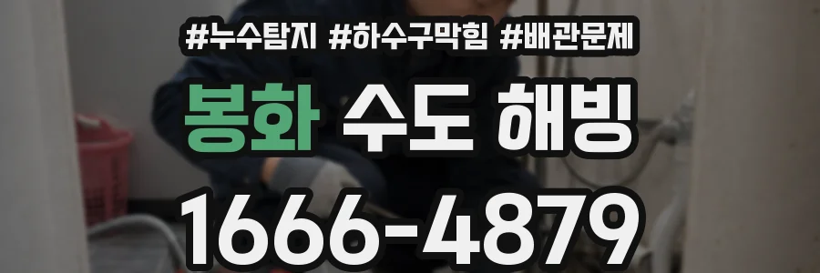 봉화 수도 해빙
