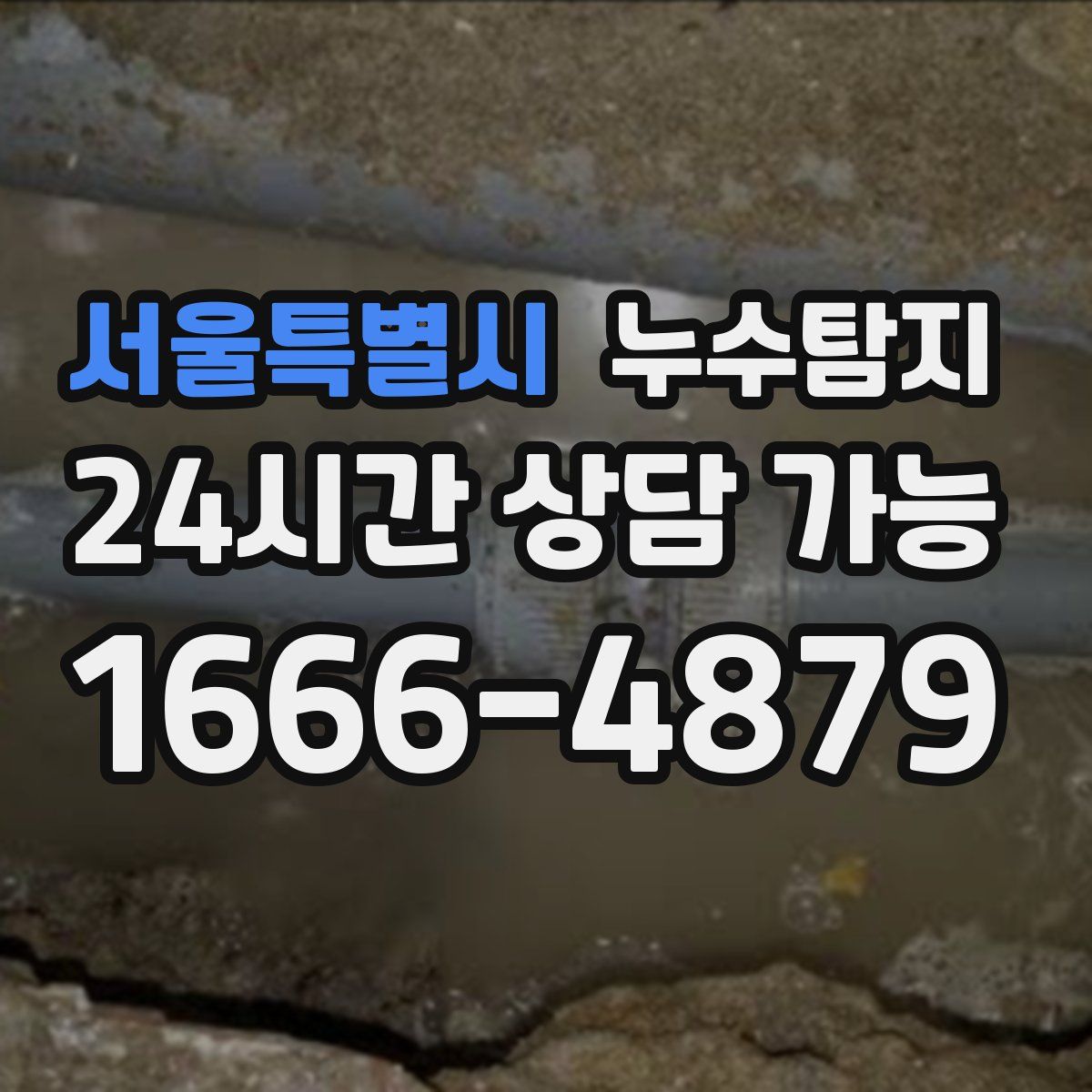 서울특별시 누수탐지