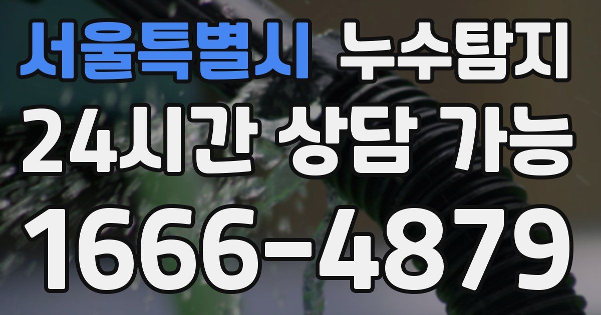 서울특별시 누수