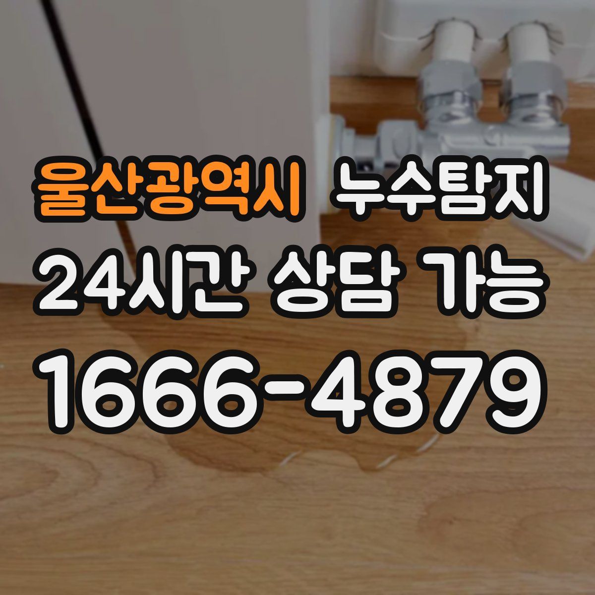 울산광역시 누수탐지