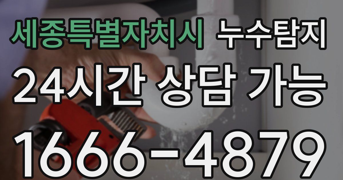 세종특별자치시 누수