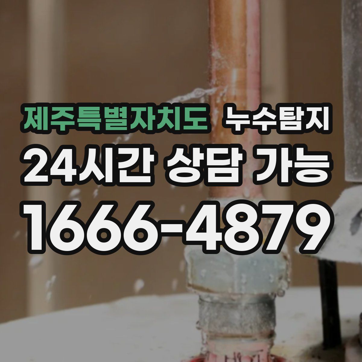 제주특별자치도 누수탐지