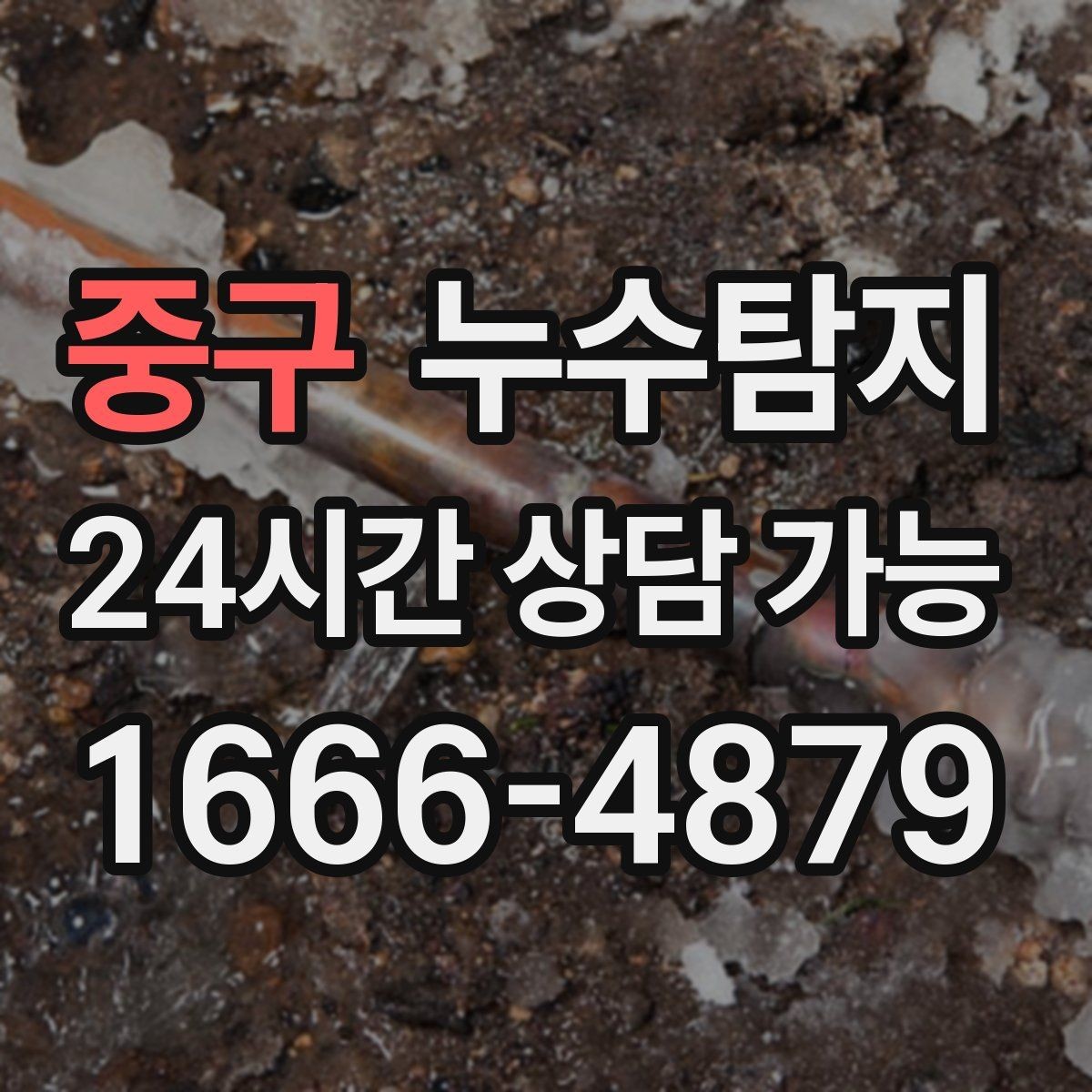 중구 누수탐지 욕실 곰팡이 원인과 해결 과정