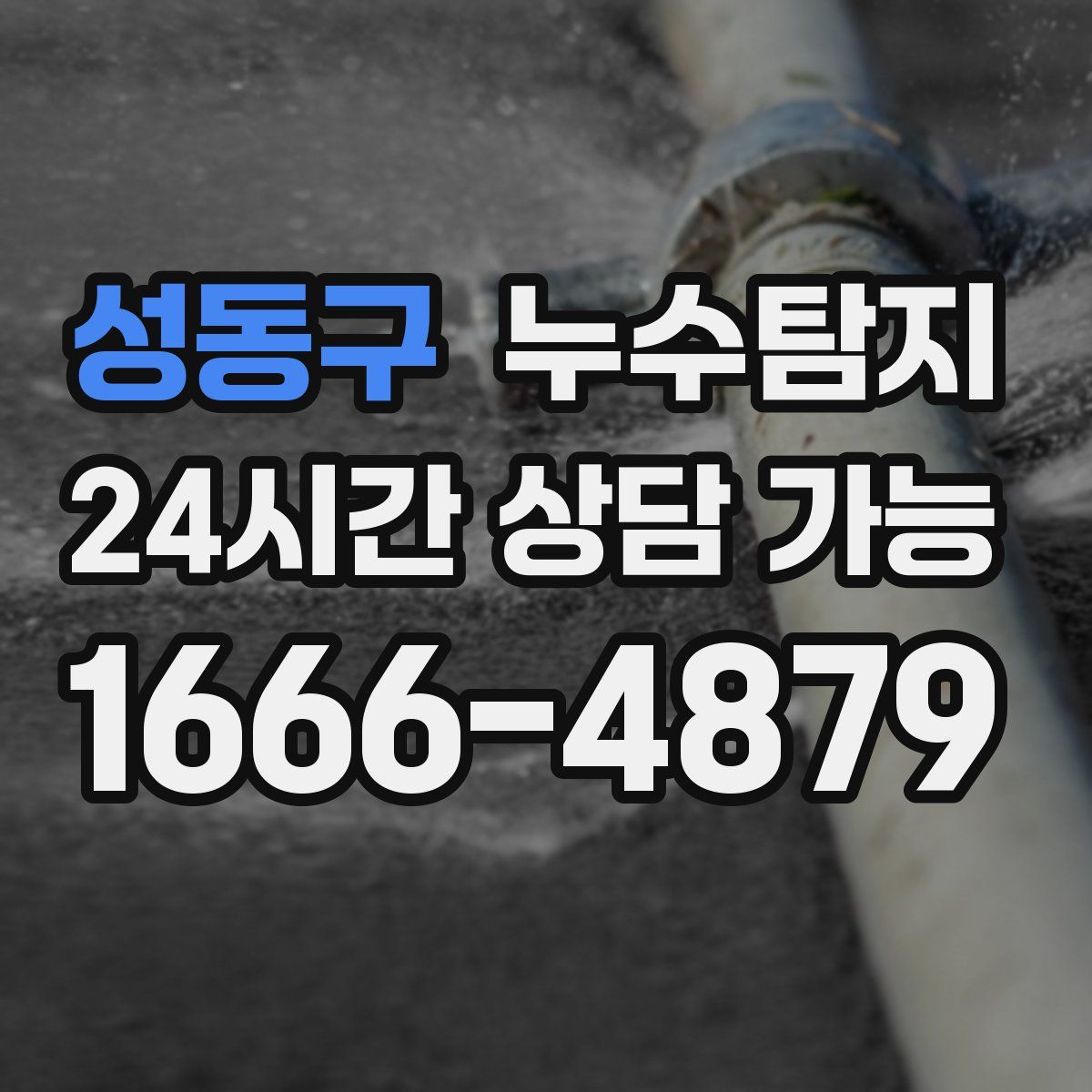 성동구 누수탐지