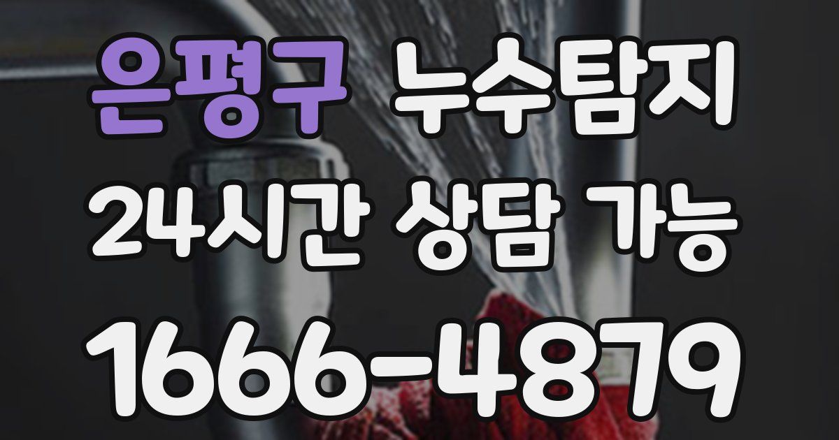 은평구 누수