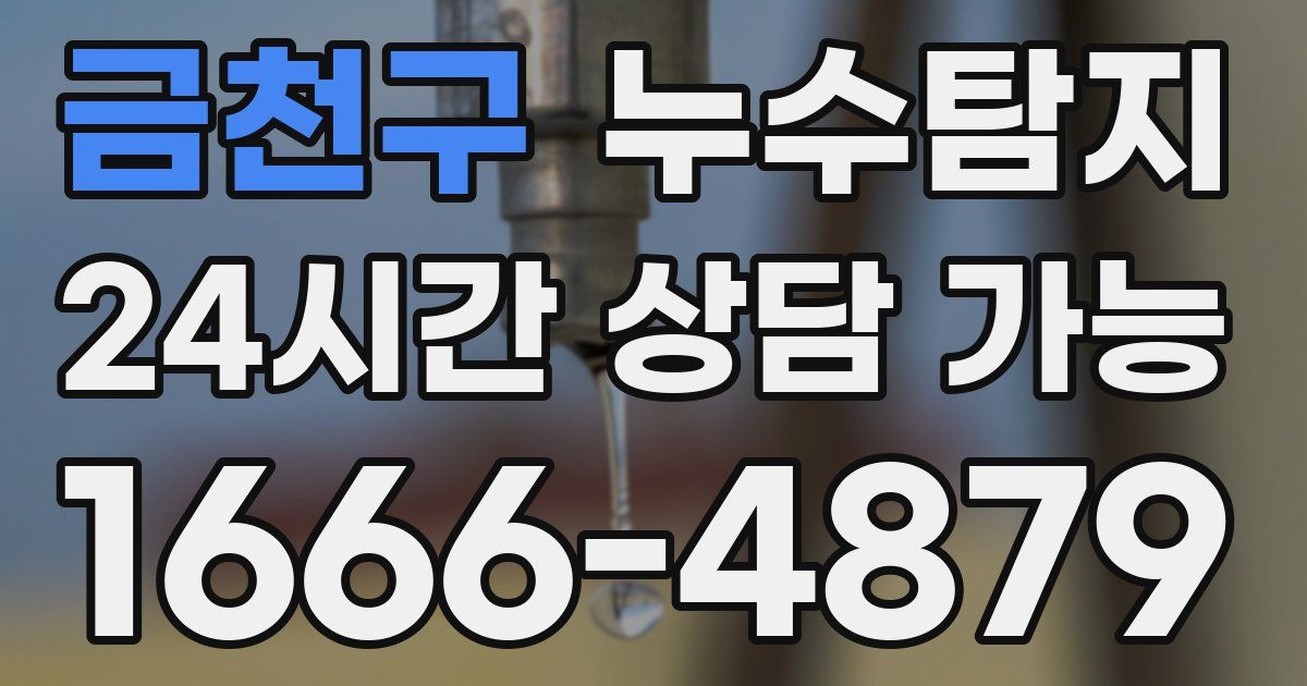 금천구 누수