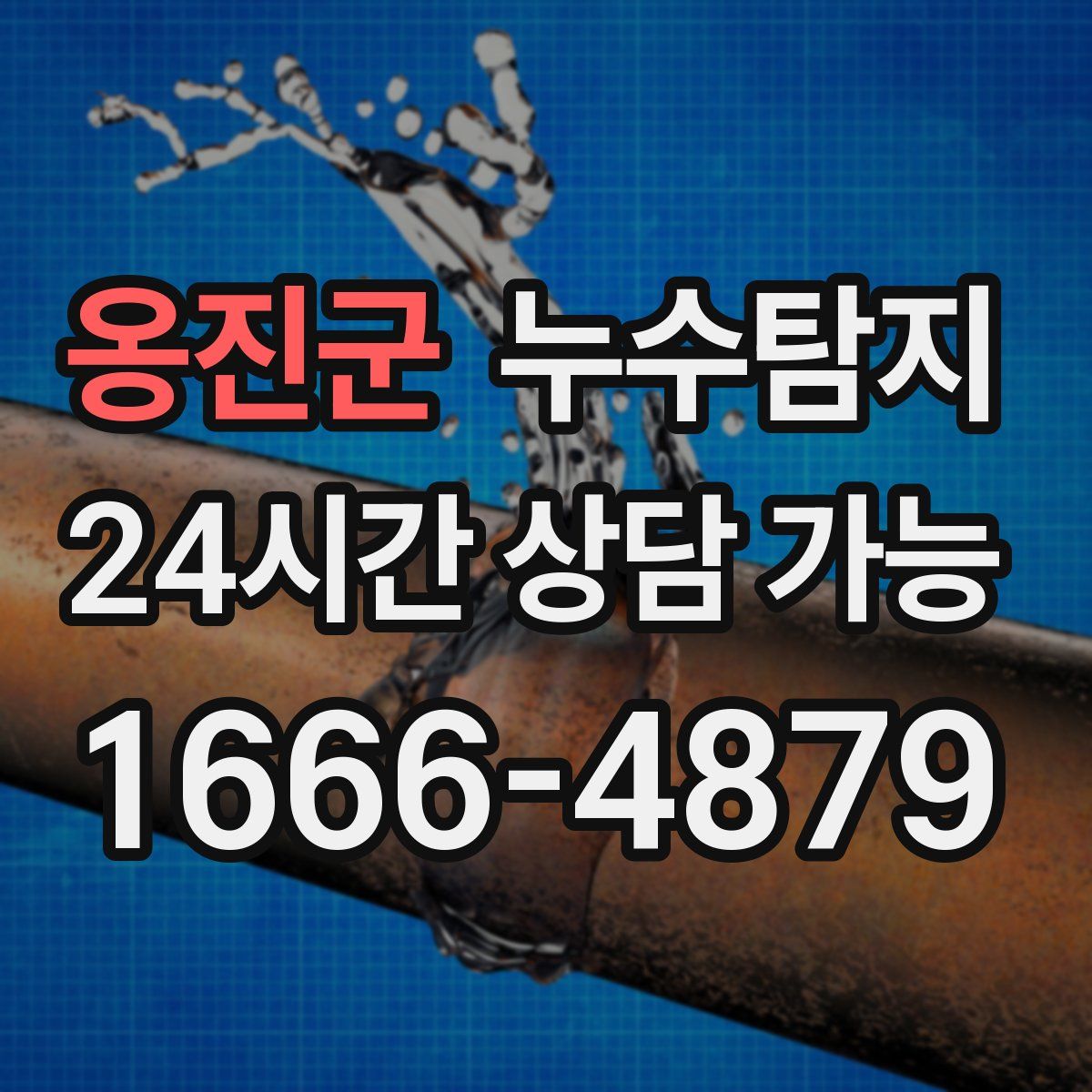 옹진군 누수탐지