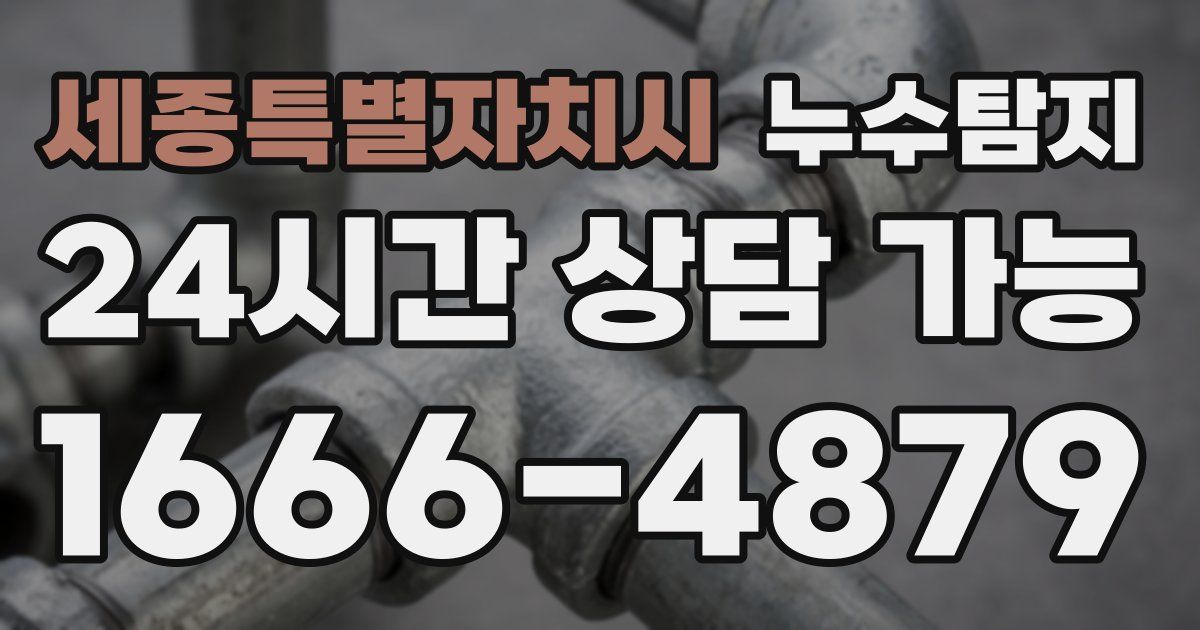 세종특별자치시 누수