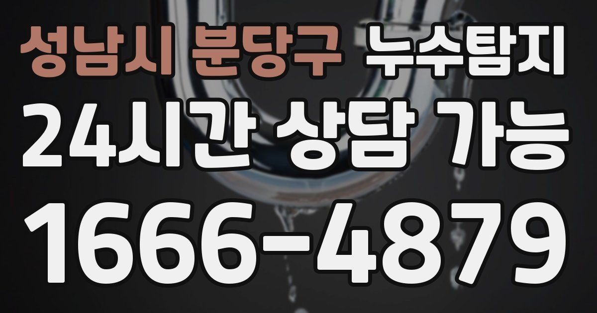 성남시 분당구 누수