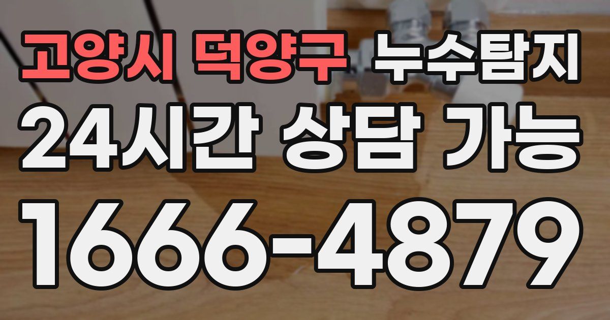 고양시 덕양구 누수