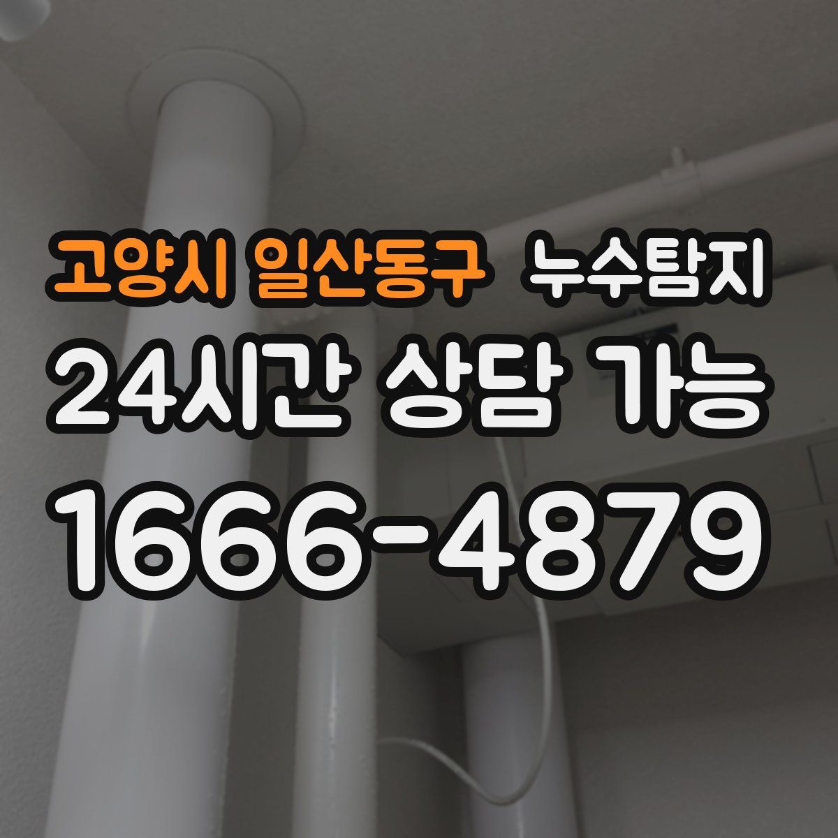 고양시 일산동구 누수탐지