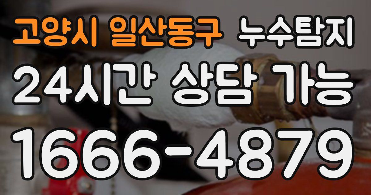 고양시 일산동구 누수