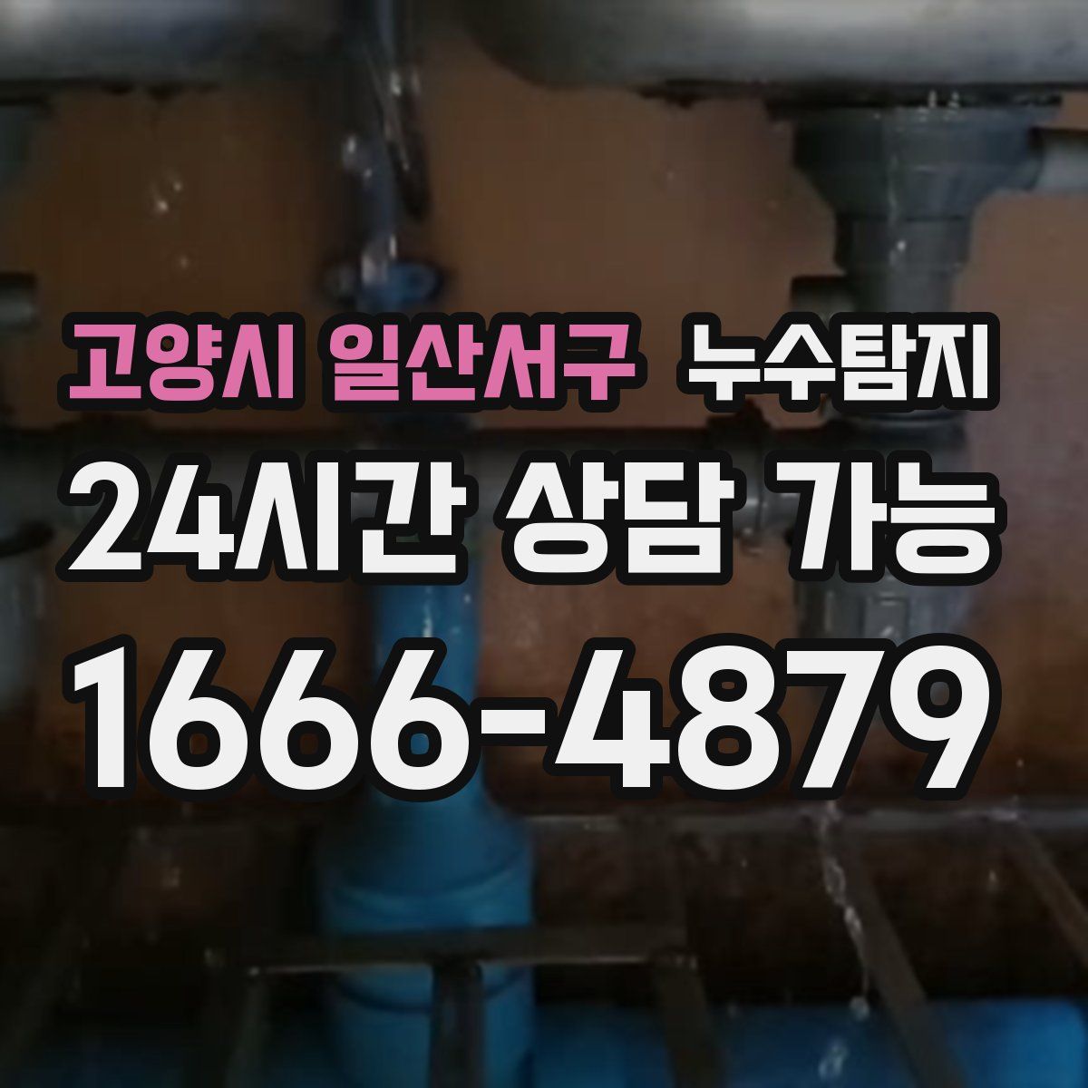 고양시 일산서구 누수탐지