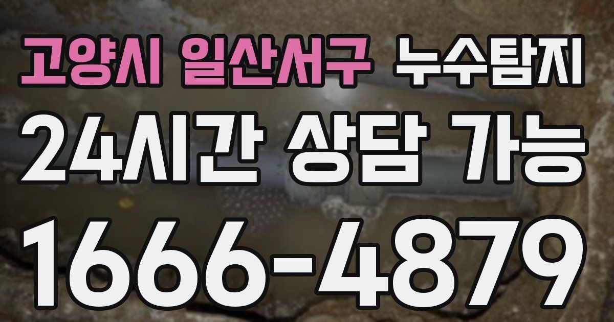 고양시 일산서구 누수