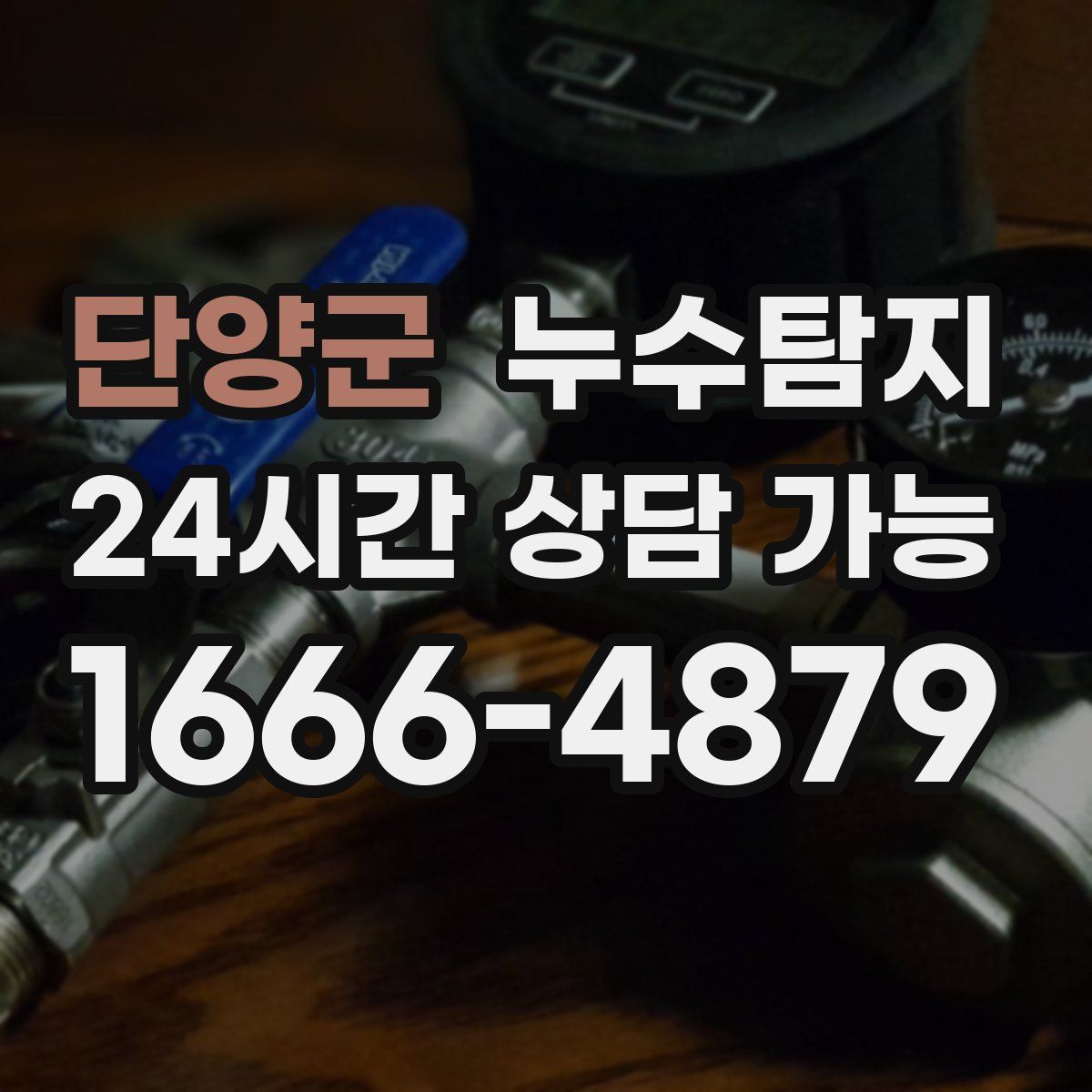 단양군 누수탐지