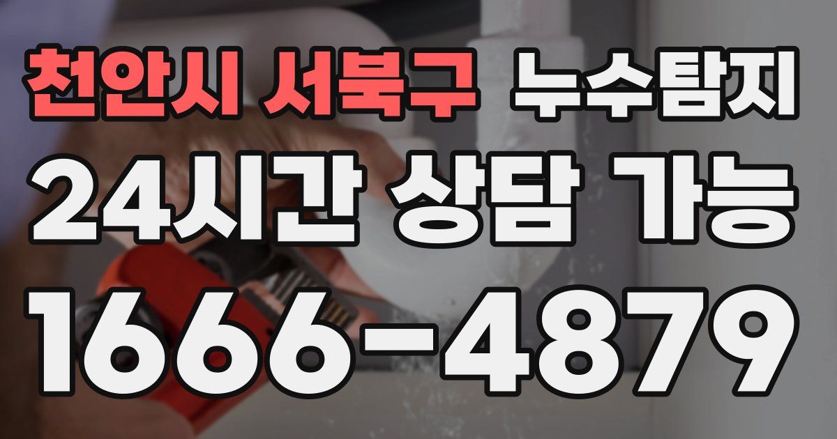 천안시 서북구 누수