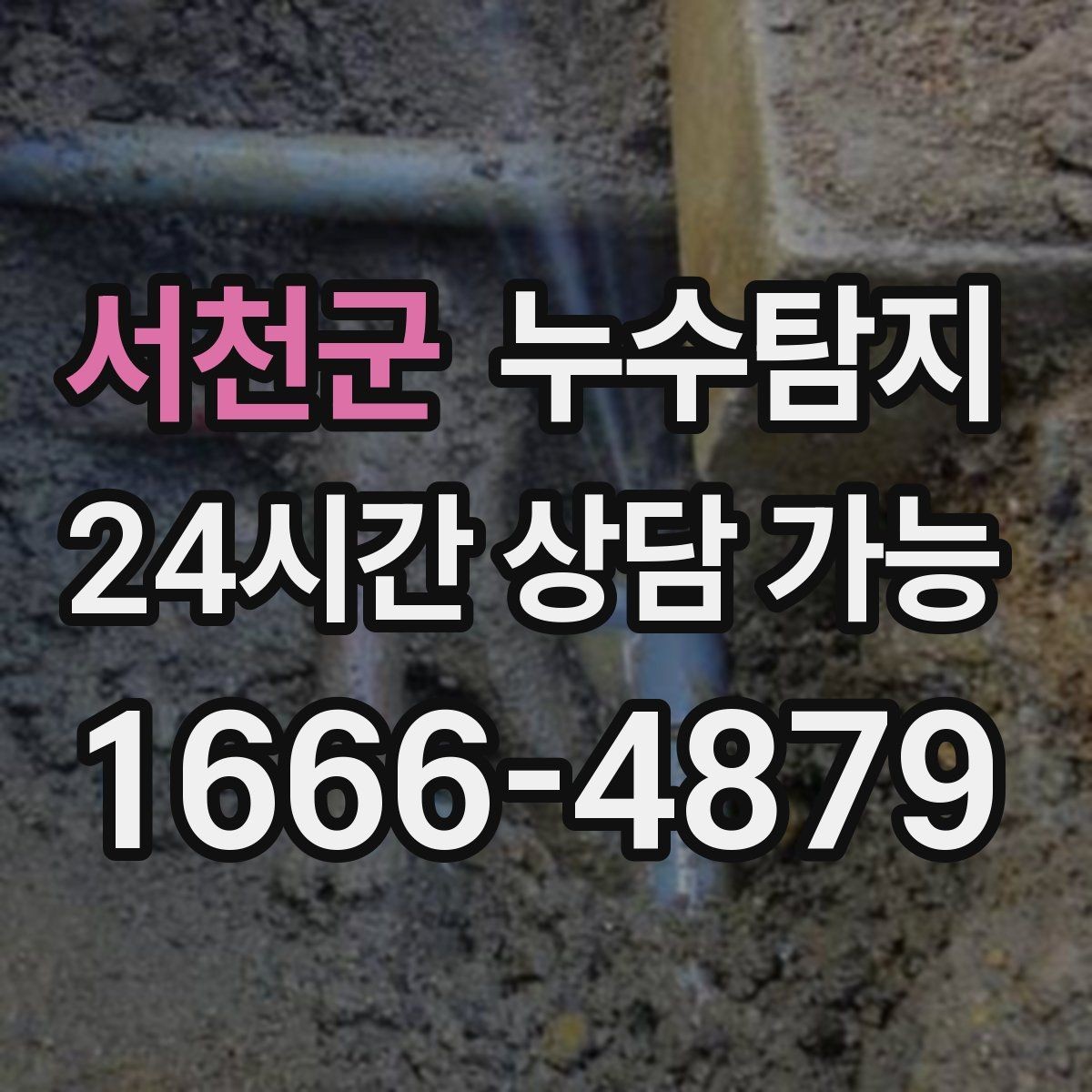 서천군 누수탐지 리모델링 일정 차질 막은 기록